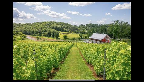 VIGNOBLE COTEAU DES ARTISANS - All You Need to Know BEFORE You Go 2026 ...