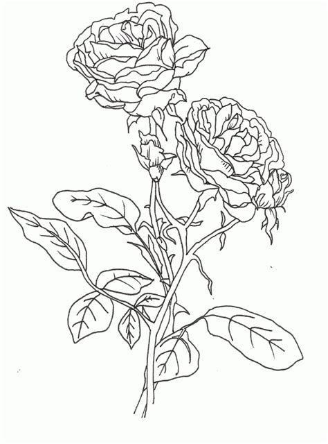 Image result for Rose Code Using HTML and CSS