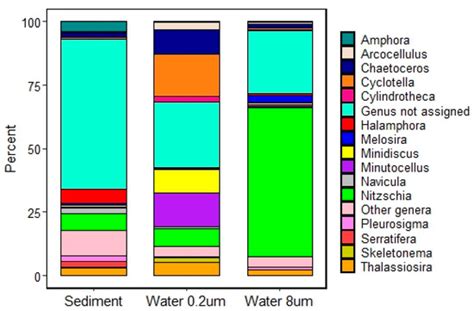 Microbial Eukaryotes in Natural and Artificial Salt Marsh Pools