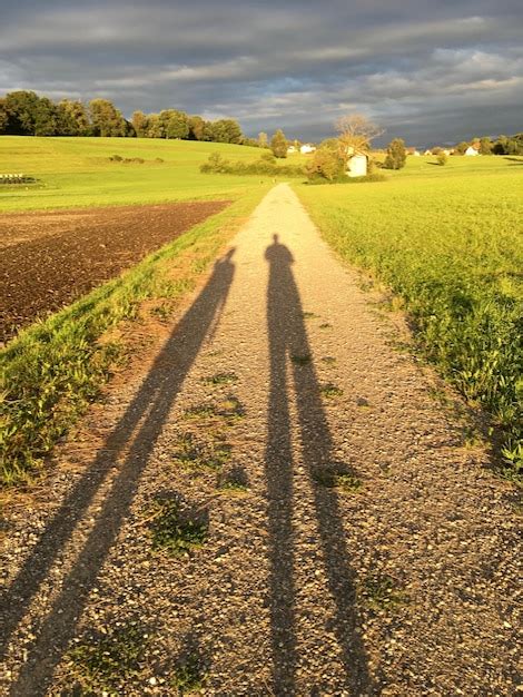 Path through Field 的图像结果