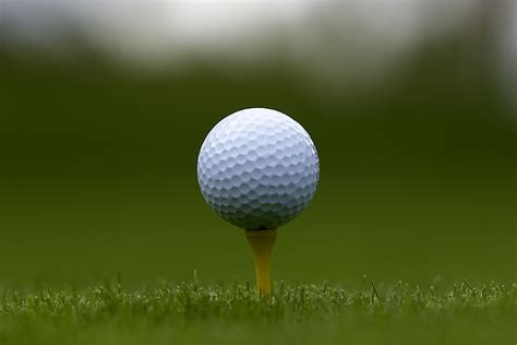 Image result for tee