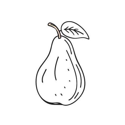 Premium Vector | Doodle outline pear with spot Vector illustration for ...