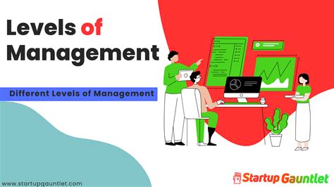 The 4 Levels of Management - Different Levels of Management