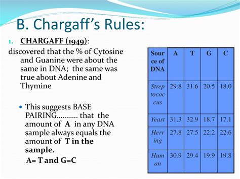PPT - DNA, Transcription, and Translation…. PowerPoint Presentation ...
