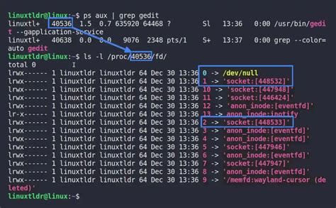 File Descriptor Linux 的图像结果