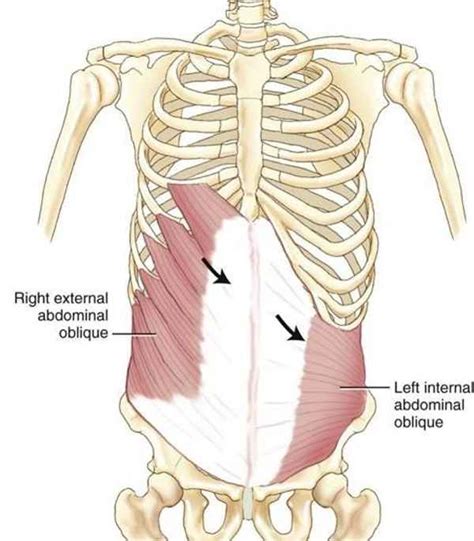 Image result for Contralateral Reflex Example