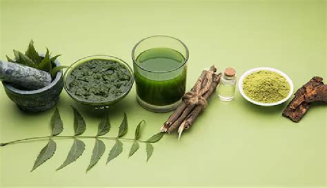 8 DIY Neem Mask for Skin and Hair - lifeberrys.com