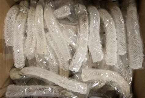 30 Venus Flower Basket Shell Euplectella Aspergillum Sea Maritime Beach ...