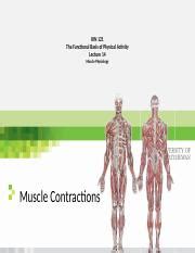 Image result for Muscle Contraction Functional Task