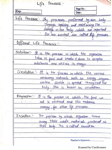 Image result for Handmade Notes Class 10