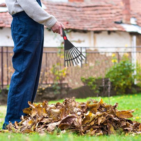 Buy Cabilock 2Pcs Gardening Hand Rake Leaf Rake Plastic Rakes Small ...