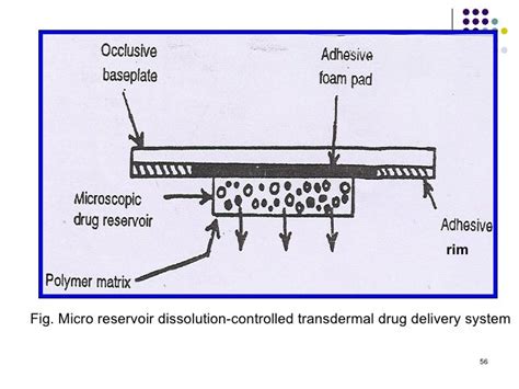 Transdermal Patch 的图像结果