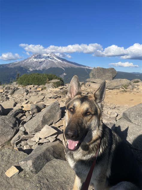 Tom dick and harry trail 😮‍💨 : r/oregon