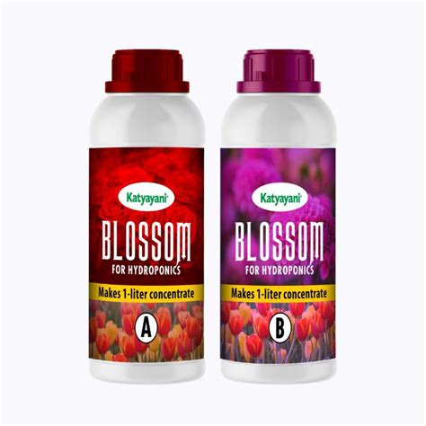 Buy Katyayani Hydroponic Nutrients Tomatoes & Veggies-400 A & B ...