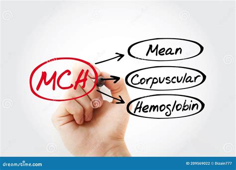Mean Corpuscular Hemoglobin Count Procedure MCH Blood Test. Laboratory Test Tubes With Blood ...