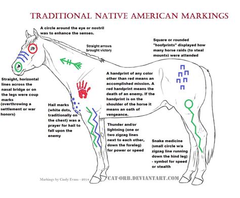 Unveiling the Majesty: Native American Horse Symbolism and Its Profound Meaning