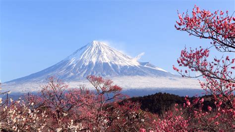 Mount Fuji Wallpapers - Wallpaper Cave