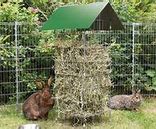 Image result for Rabbit Colony Construction