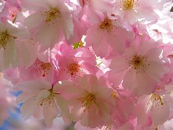 Image result for HTML Format for Text Generation