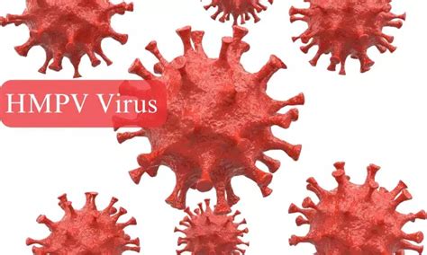 HMPV Virus: No unusual increase in Respiratory illnesses, Influenza ...