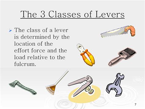 Image result for Types of Levers