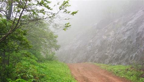 TUNGARESHWAR WILDLIFE SANCTUARY (2026) All You Need to Know BEFORE You ...