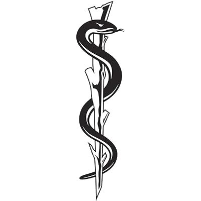 Buy Simple Black and White Caduceus Symbol Cartoon Icon Vinyl Sticker 4 ...