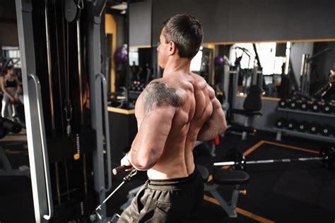 Image result for Back Workout Machine