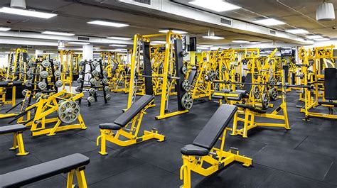 Start a Gold’s Gym Franchise - What Franchise