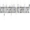 According to the scatterplot below, which statement is correct? a graph ...