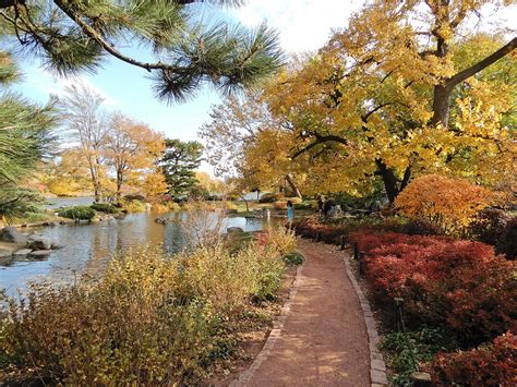 The Fascinating Story of the Japanese Garden on Jackson Park’s Wooded ...