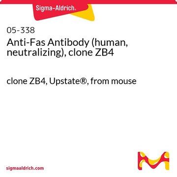 Anti-Fas Antibody UPSTATE ® , mouse monoclonal, ZB4 | Sigma-Aldrich