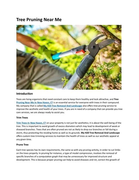 Tree Pruning Near Me 的图像结果