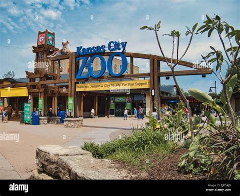 Can You Bring Dogs To The Kansas City Zoo at Lacey Chandler blog
