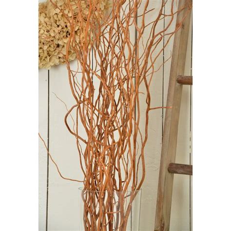 Curly Willow Branches for Arrangements - Long Stem Natural
