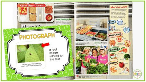 Teaching Text Features 的图像结果