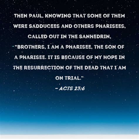 Acts 23:6 Then Paul, knowing that some of them were Sadducees and ...