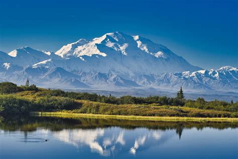 アラスカ 州 シャチ に対する画像結果