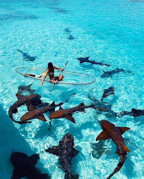 Unique places to visit in the world most beautiful country in the world most beautiful places in eur – Artofit