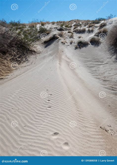 Sand Dune at Ski Cove, Lake Mohave, Arizona Stock Photo - Image of ...