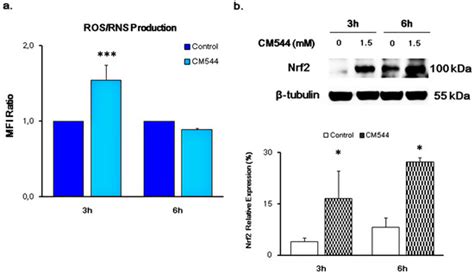 The Selective Acetamidine-Based iNOS Inhibitor CM544 Reduces Glioma ...