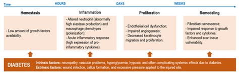 Emerging Antimicrobial and Immunomodulatory Fiber-Based Scaffolding ...