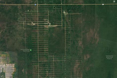 Paradise In Picayune