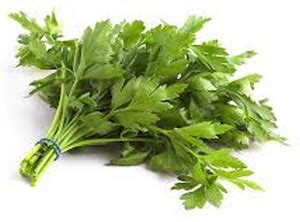 Airex Parsley Italian (Flat Leaf) Microgreen Seeds - Pack Of AVG 50 ...