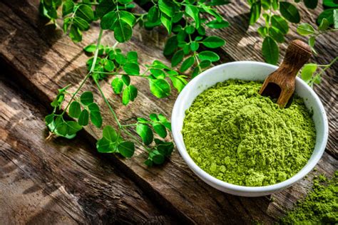 Moringa Powder: Benefits, Uses & Side Effects Guide