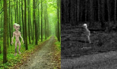 Alien in Jharkhand 的图像结果