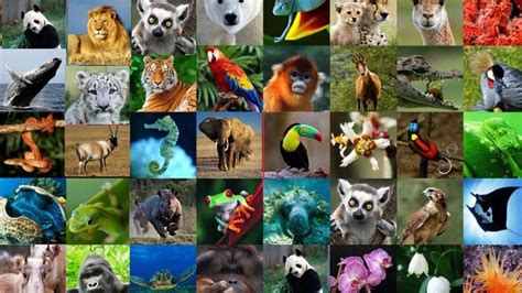 Image result for Threshold Image Using OpenCV