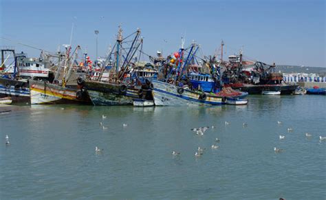 A magical whimsy Medina - Reviews, Photos - Medina of Essaouira ...