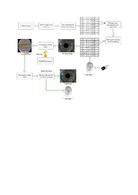 Energy Value Analysis of IRIS Images Using AES Encryption Techniques ...