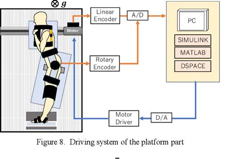 Image result for Dynamic Equilibrium Device Human